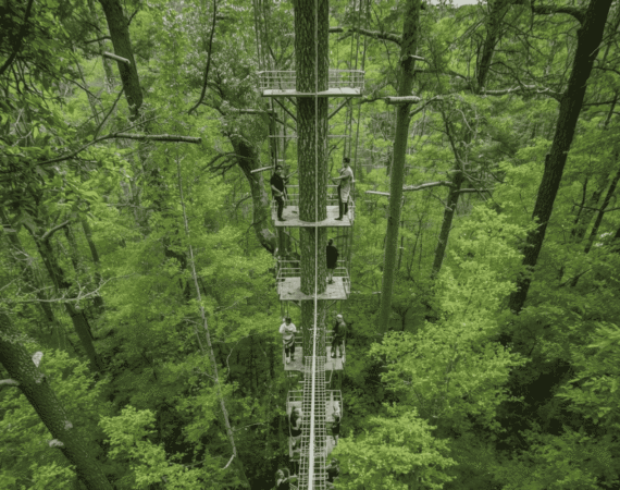 L'accrobranche : une aventure en plein air