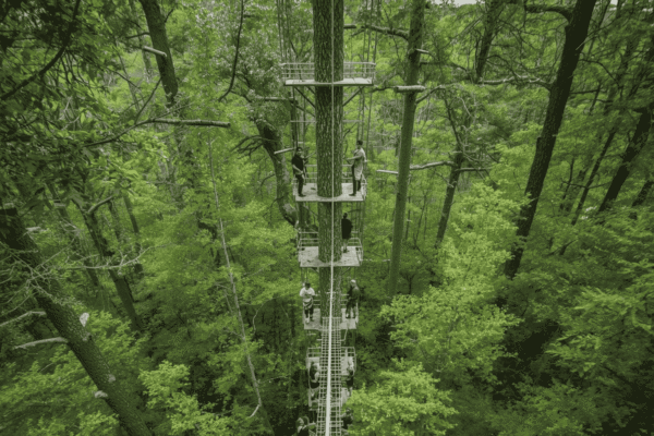 Accrobranche