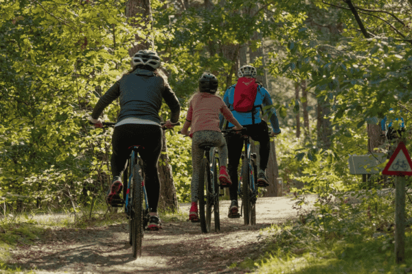 Activités en famille