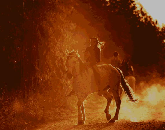 Les balades à cheval : le bonheur au galop !
