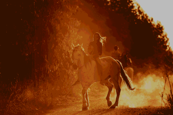 balade à cheval