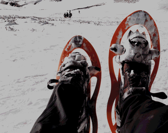 La randonn&eacute;e en raquettes, une immersion magique dans les paysages enneig&eacute;s