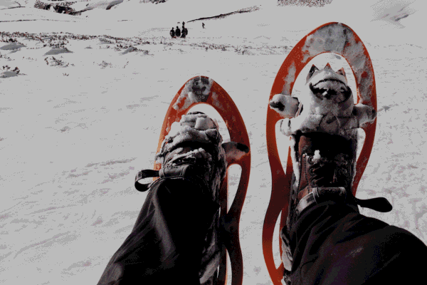 randonnée en raquettes