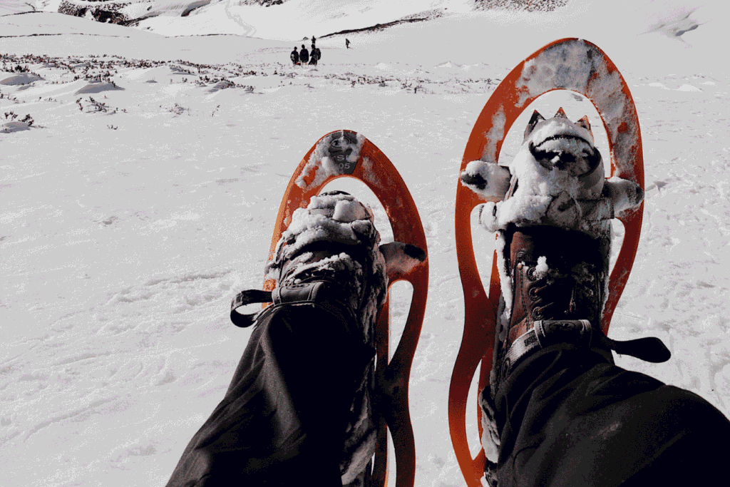 randonnée en raquettes